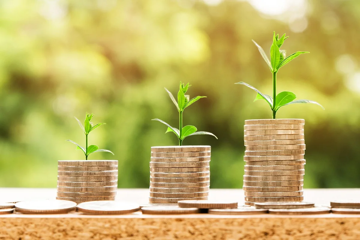 Développement durable en entreprise : bâtir un avenir économique responsable en 2026