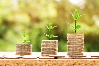 Développement durable en entreprise : bâtir un avenir économique responsable en 2026